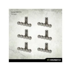 Aimants En Néodyme En Disque De 3x1mm X60