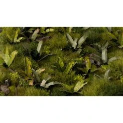 Banana Tree 9 Banana Tree -Pièces De Modèle Boutique banana tree 3