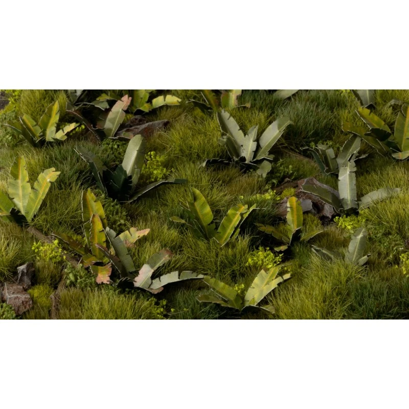 Banana Tree 6 Banana Tree – Image 4