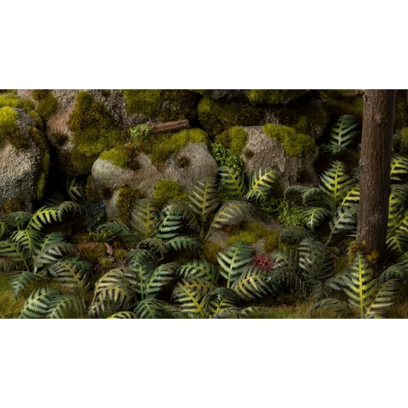 Bracken 6 Bracken – Image 4