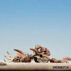 Crânes De Bêtes -Pièces De Modèle Boutique cranes de betes 3