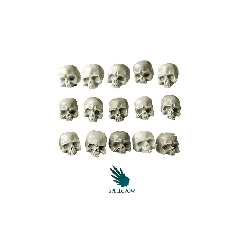 Crânes Humains 3 Crânes Humains