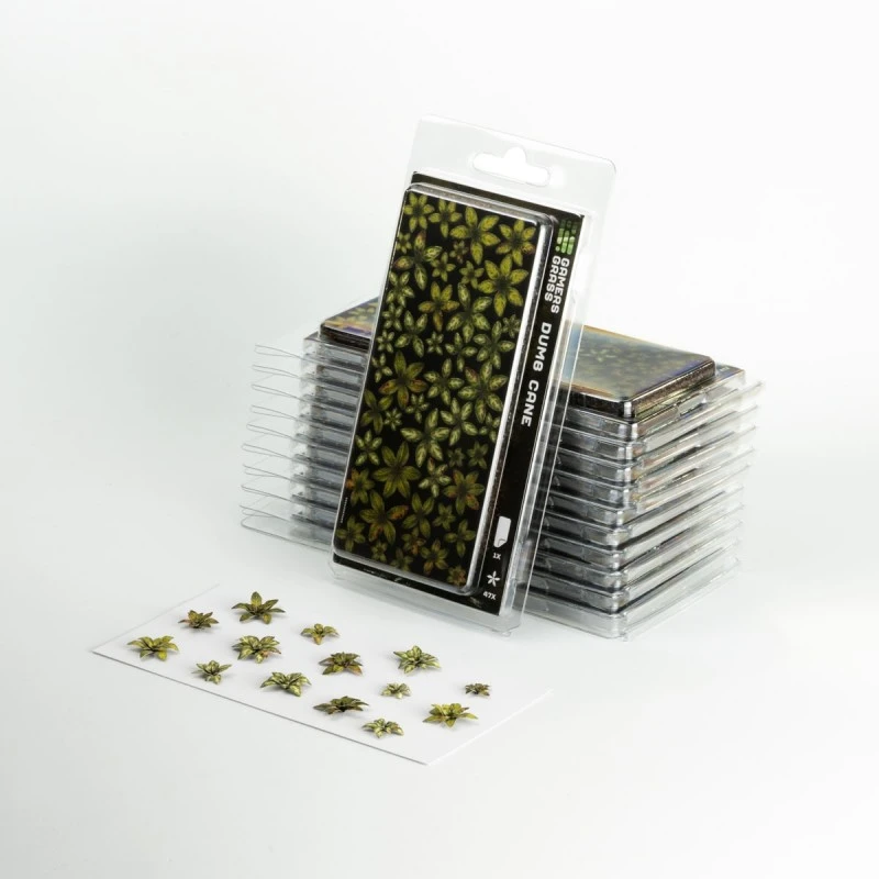 Dumb Cane 5 Dumb Cane – Image 3