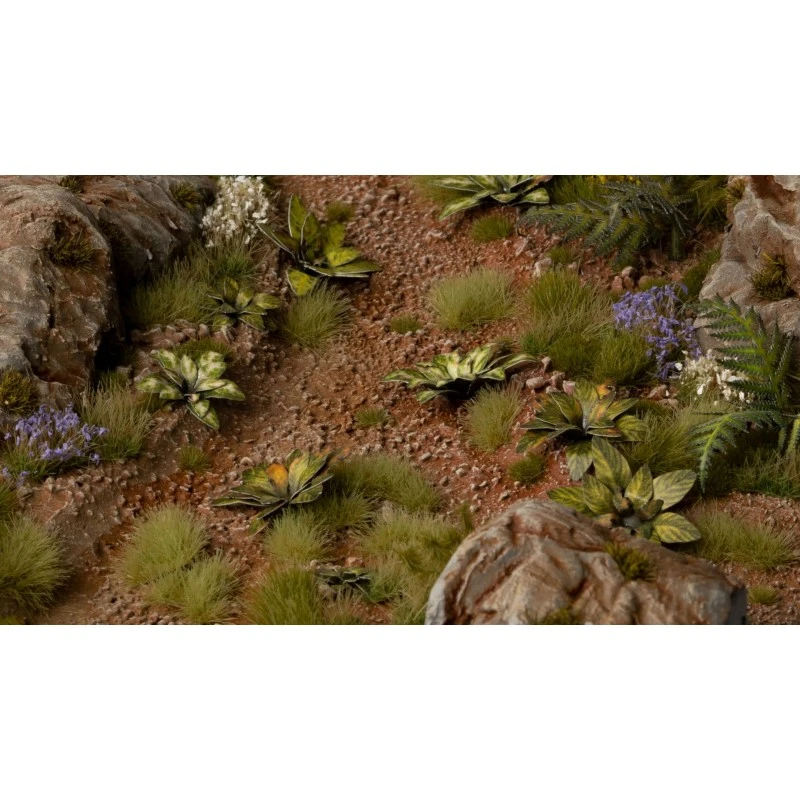 Dumb Cane 7 Dumb Cane – Image 5