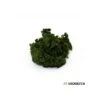 Flocage Feuillage - Vert Olive