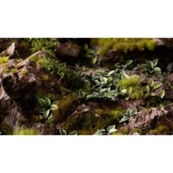 Plantain Lily -Pièces De Modèle Boutique plantain lily 2