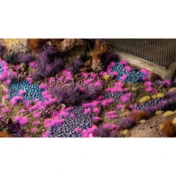 Tiny Alien Neon (2mm) -Pièces De Modèle Boutique tiny alien neon 2mm 3