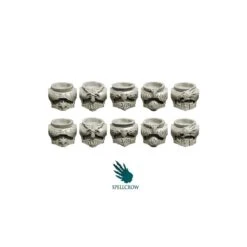 Salamandra - Torses B